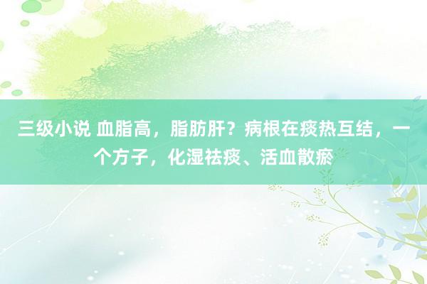 三级小说 血脂高，脂肪肝？病根在痰热互结，一个方子，化湿祛痰、活血散瘀