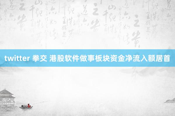 twitter 拳交 港股软件做事板块资金净流入额居首