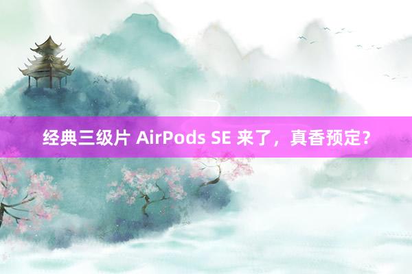 经典三级片 AirPods SE 来了，真香预定？