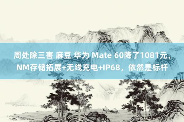 周处除三害 麻豆 华为 Mate 60降了1081元，NM存储拓展+无线充电+IP68，依然是标杆