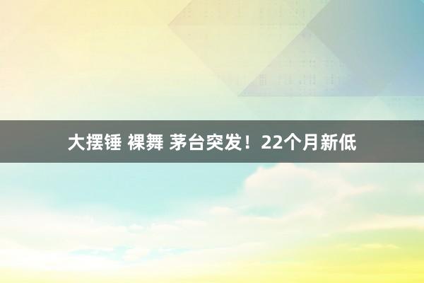 大摆锤 裸舞 茅台突发！22个月新低