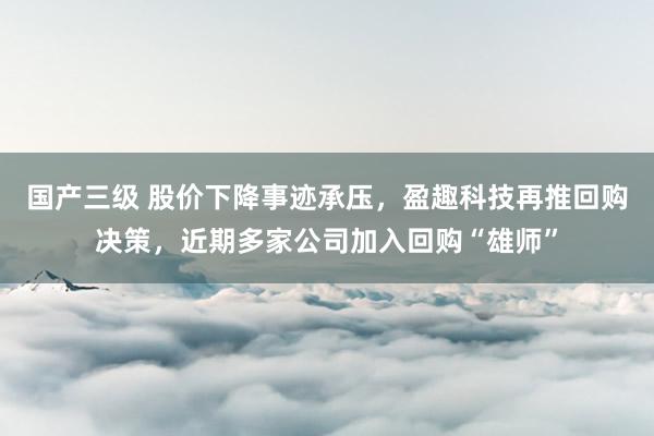 国产三级 股价下降事迹承压，盈趣科技再推回购决策，近期多家公司加入回购“雄师”