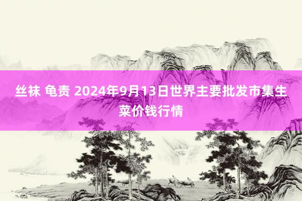 丝袜 龟责 2024年9月13日世界主要批发市集生菜价钱行情