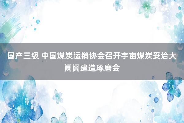 国产三级 中国煤炭运销协会召开宇宙煤炭妥洽大阛阓建造琢磨会