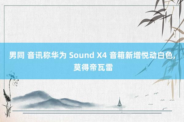 男同 音讯称华为 Sound X4 音箱新增悦动白色, 莫得帝瓦雷