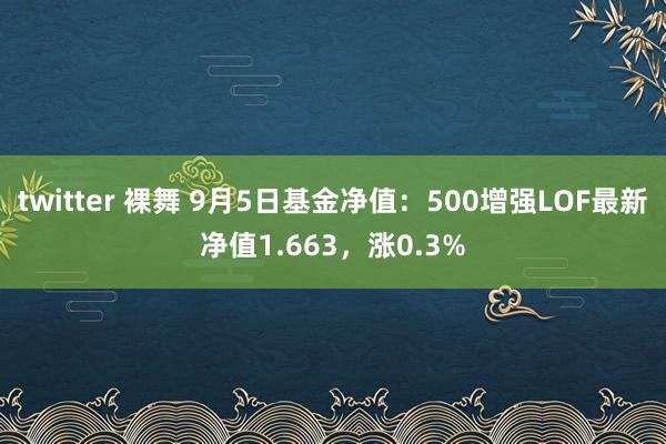 twitter 裸舞 9月5日基金净值：500增强LOF最新净值1.663，涨0.3%