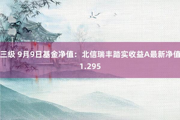 三级 9月9日基金净值：北信瑞丰踏实收益A最新净值1.295