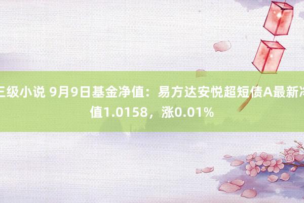 三级小说 9月9日基金净值：易方达安悦超短债A最新净值1.0158，涨0.01%