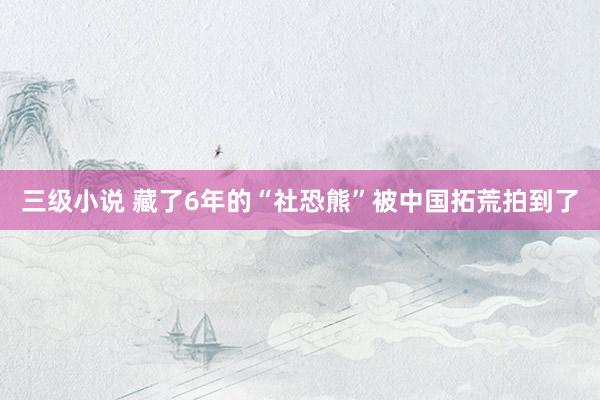 三级小说 藏了6年的“社恐熊”被中国拓荒拍到了