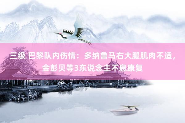 三级 巴黎队内伤情：多纳鲁马右大腿肌肉不适，金彭贝等3东说念主不息康复