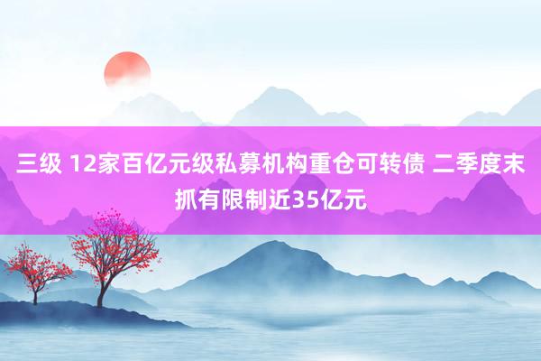 三级 12家百亿元级私募机构重仓可转债 二季度末抓有限制近35亿元