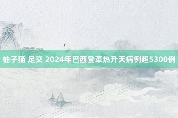 柚子猫 足交 2024年巴西登革热升天病例超5300例