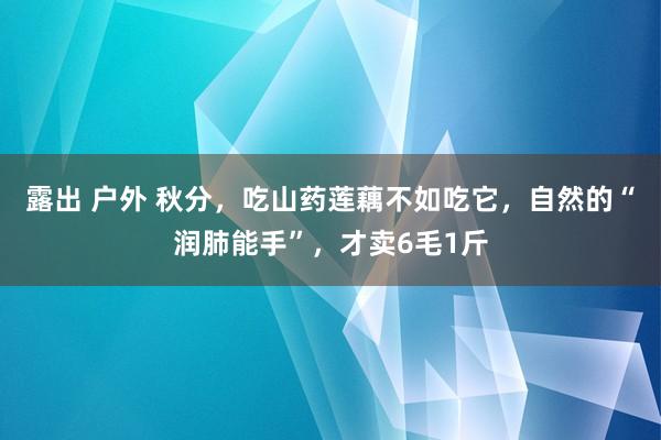 露出 户外 秋分，吃山药莲藕不如吃它，自然的“润肺能手”，才卖6毛1斤