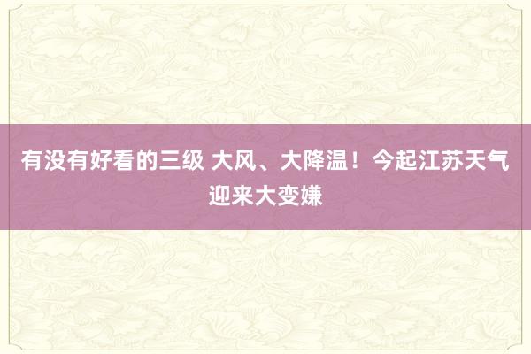 有没有好看的三级 大风、大降温！今起江苏天气迎来大变嫌