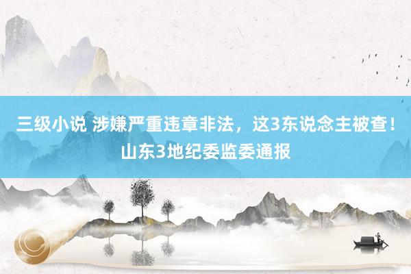 三级小说 涉嫌严重违章非法，这3东说念主被查！山东3地纪委监委通报