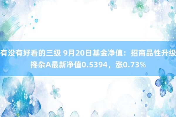 有没有好看的三级 9月20日基金净值：招商品性升级搀杂A最新净值0.5394，涨0.73%