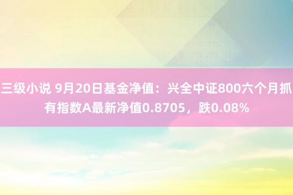 三级小说 9月20日基金净值：兴全中证800六个月抓有指数A最新净值0.8705，跌0.08%