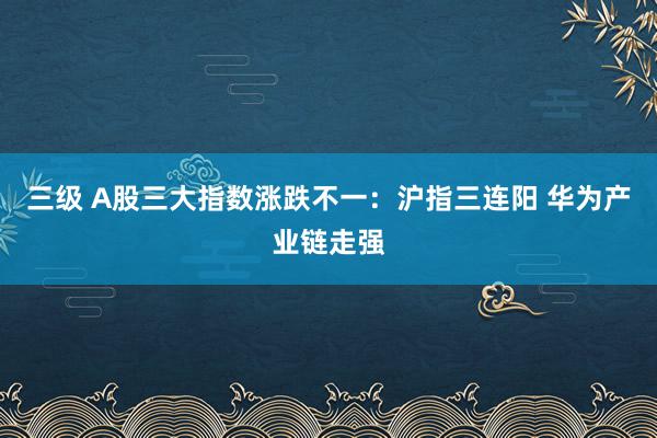 三级 A股三大指数涨跌不一：沪指三连阳 华为产业链走强