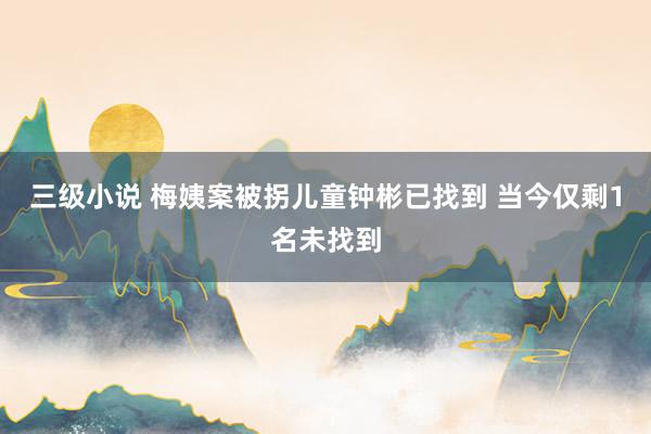 三级小说 梅姨案被拐儿童钟彬已找到 当今仅剩1名未找到