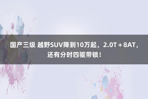 国产三级 越野SUV降到10万起，2.0T＋8AT，还有分时四驱带锁！