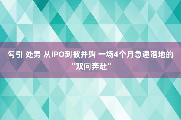 勾引 处男 从IPO到被并购 一场4个月急速落地的“双向奔赴”