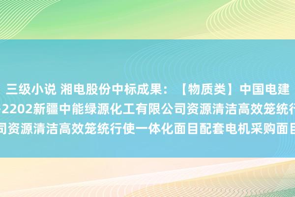 三级小说 湘电股份中标成果：【物质类】中国电建电建装备公司2024B-2202新疆中能绿源化工有限公司资源清洁高效笼统行使一体化面目配套电机采购面目成交公示