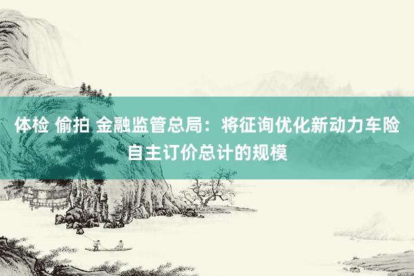 体检 偷拍 金融监管总局：将征询优化新动力车险自主订价总计的规模