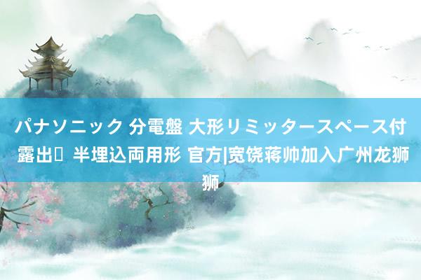 パナソニック 分電盤 大形リミッタースペース付 露出・半埋込両用形 官方|宽饶蒋帅加入广州龙狮