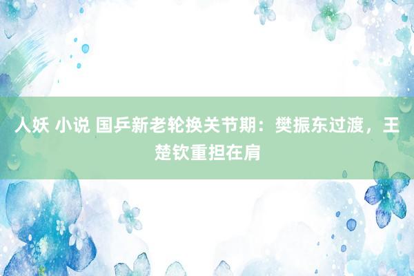 人妖 小说 国乒新老轮换关节期：樊振东过渡，王楚钦重担在肩