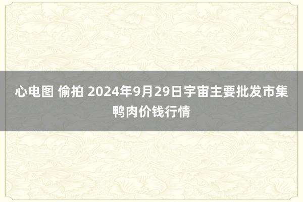 心电图 偷拍 2024年9月29日宇宙主要批发市集鸭肉价钱行情