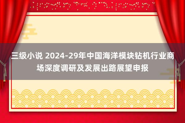 三级小说 2024-29年中国海洋模块钻机行业商场深度调研及发展出路展望申报