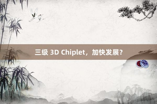 三级 3D Chiplet，加快发展？