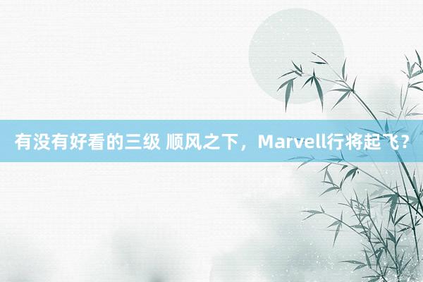 有没有好看的三级 顺风之下，Marvell行将起飞？