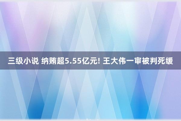 三级小说 纳贿超5.55亿元! 王大伟一审被判死缓