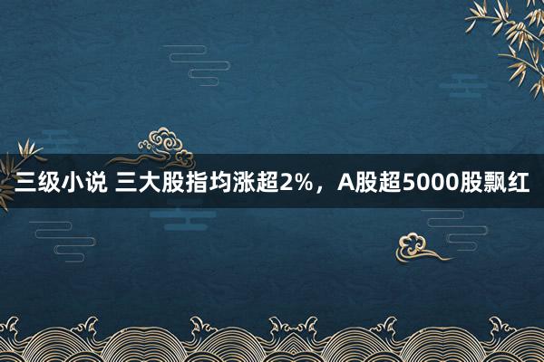 三级小说 三大股指均涨超2%，A股超5000股飘红