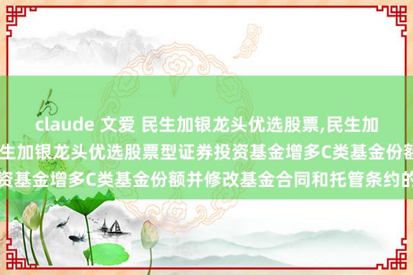 claude 文爱 民生加银龙头优选股票，民生加银龙头优选股票C: 对于民生加银龙头优选股票型证券投资基金增多C类基金份额并修改基金合同和托管条约的公告