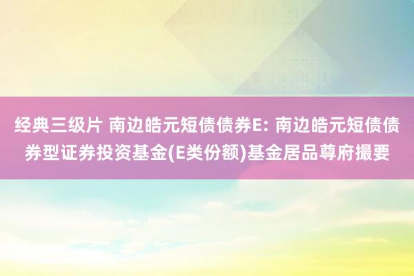 经典三级片 南边皓元短债债券E: 南边皓元短债债券型证券投资基金(E类份额)基金居品尊府撮要