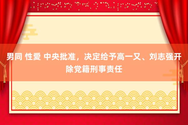 男同 性愛 中央批准，决定给予高一又、刘志强开除党籍刑事责任