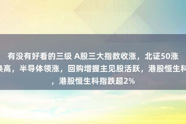 有没有好看的三级 A股三大指数收涨，北证50涨超16%改换高，半导体领涨，回购增握主见股活跃，港股恒生科指跌超2%