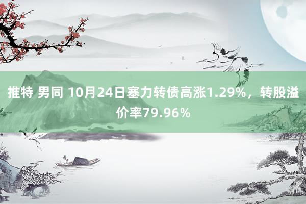 推特 男同 10月24日塞力转债高涨1.29%，转股溢价率79.96%