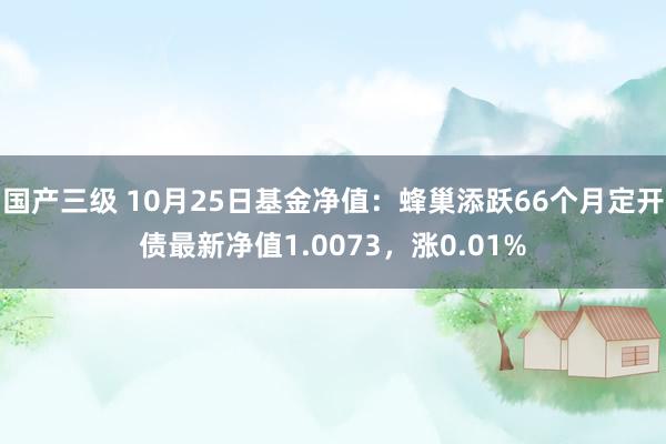 国产三级 10月25日基金净值：蜂巢添跃66个月定开债最新净值1.0073，涨0.01%