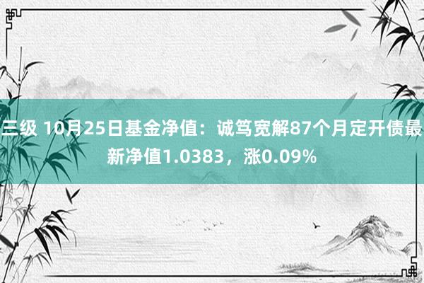 三级 10月25日基金净值：诚笃宽解87个月定开债最新净值1.0383，涨0.09%