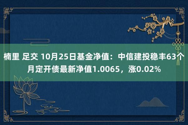 楠里 足交 10月25日基金净值：中信建投稳丰63个月定开债最新净值1.0065，涨0.02%