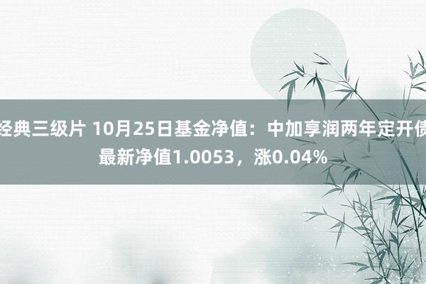 经典三级片 10月25日基金净值：中加享润两年定开债最新净值1.0053，涨0.04%