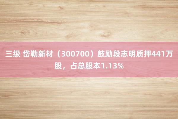 三级 岱勒新材（300700）鼓励段志明质押441万股，占总股本1.13%