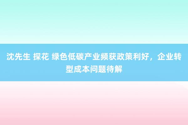 沈先生 探花 绿色低碳产业频获政策利好，企业转型成本问题待解