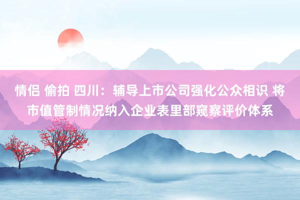 情侣 偷拍 四川：辅导上市公司强化公众相识 将市值管制情况纳入企业表里部窥察评价体系