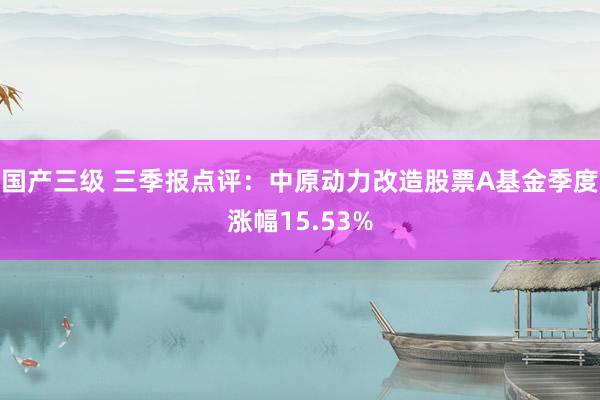 国产三级 三季报点评：中原动力改造股票A基金季度涨幅15.53%