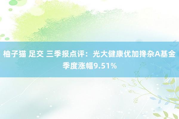 柚子猫 足交 三季报点评：光大健康优加搀杂A基金季度涨幅9.51%