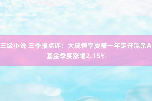 三级小说 三季报点评：大成恒享夏盛一年定开混杂A基金季度涨幅2.15%